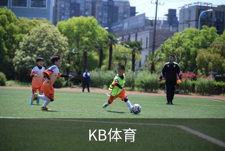 KB体育介绍